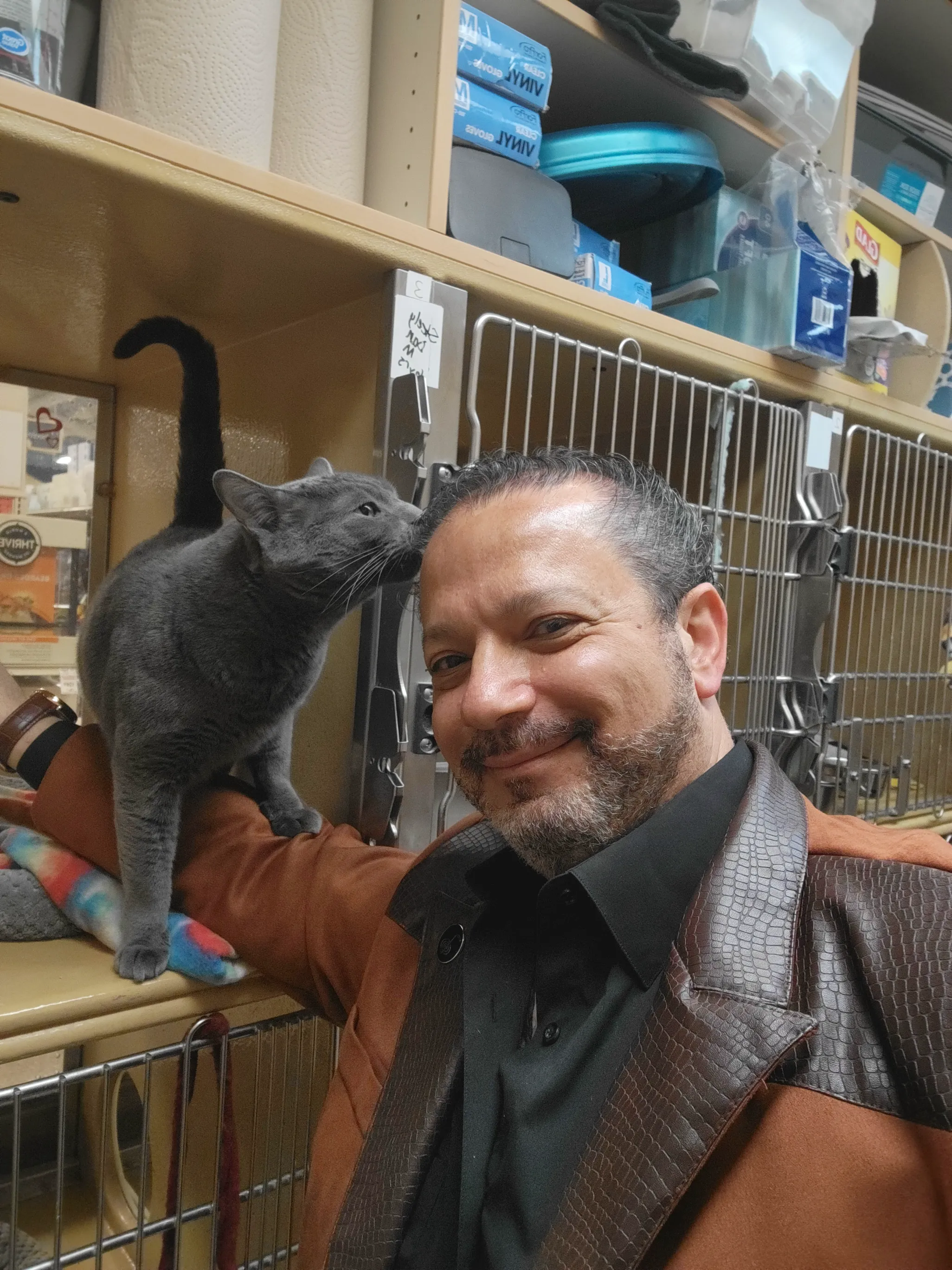 A rescue cat reaching out to sniff Dr. James